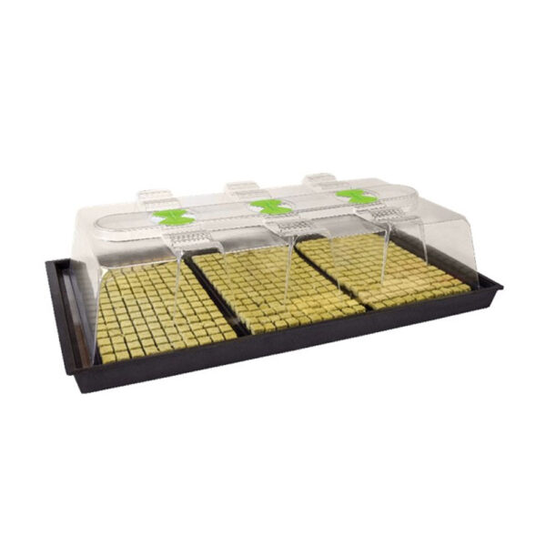 X-Stream Heated Propagators, X-Stream, Propagators, Propagators, X-Stream
