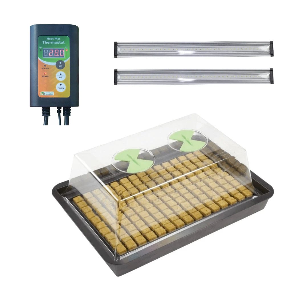 X-Stream Heated Propagator with Sunblaster LED’s, X-Stream, Propagators, Propagators, X-Stream, Propagation Bundles, Propagation Bundles