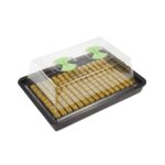 X-Stream Heated Propagators, X-Stream, Propagators, Propagators, X-Stream