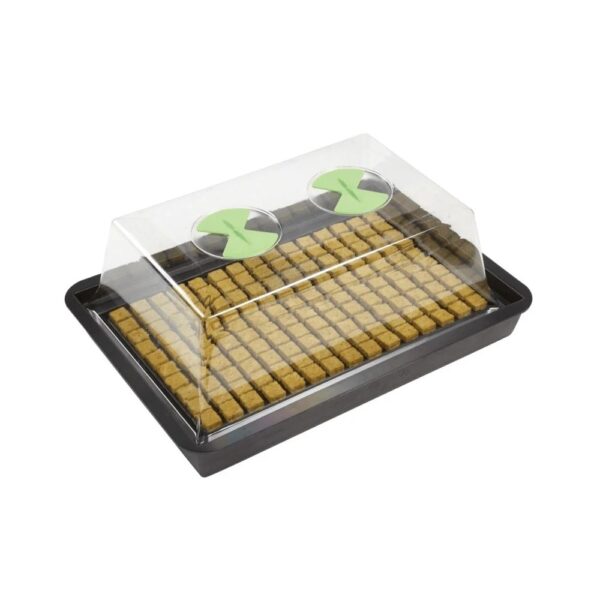 X-Stream Heated Propagators, X-Stream, Propagators, Propagators, X-Stream