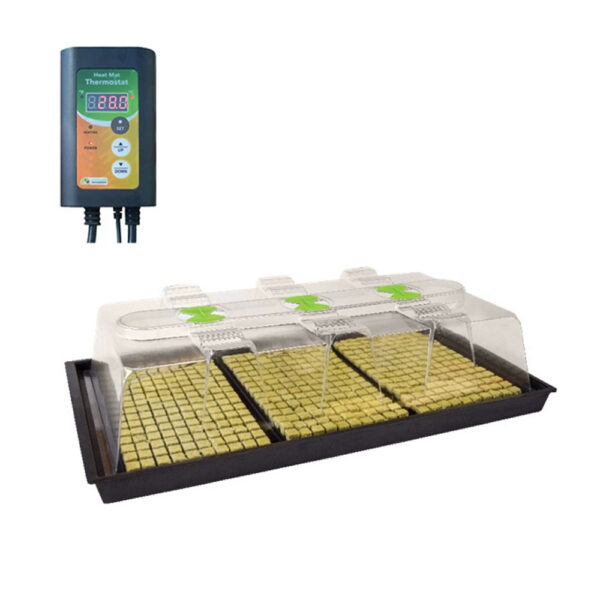 X-Stream Heated Propagators, X-Stream, Propagators, Propagators, X-Stream