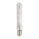 Maxibright Dual Spectrum HPS+ 600W Lamp, Maxibright, Bulbs