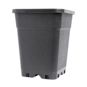 Eco Square Pots