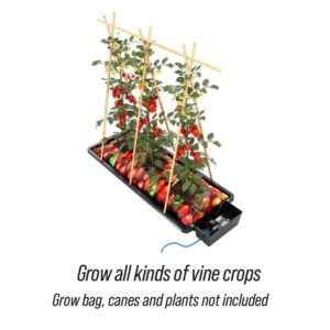 Autopot Tray2Grow, Autopot, Planters, Containers & Trays, Grow Systems, Autopot Watering Systems